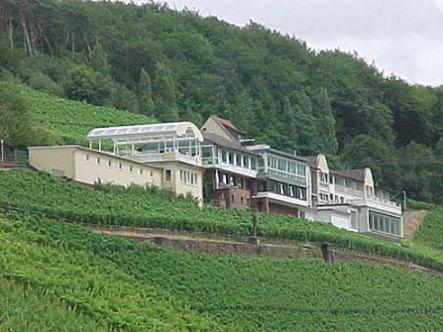 Panorama Hotel Und Restaurant Schlossberg 알제나우인운터프랑켄 외부 사진